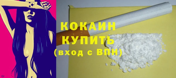 сатива Заводоуковск