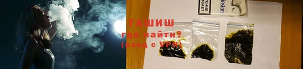 сатива Заводоуковск
