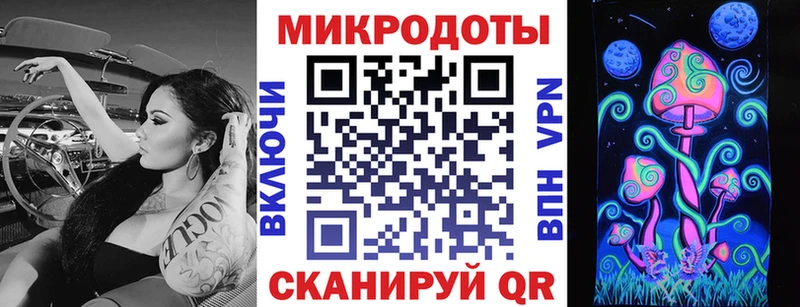 KRAKEN как войти  Каменногорск  Галлюциногенные грибы мицелий 